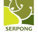 serpong